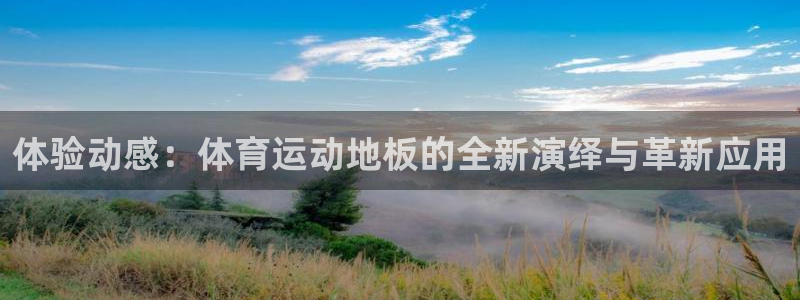oety欧亿：体验动感：体育运动地板的全新演绎与革新应用
