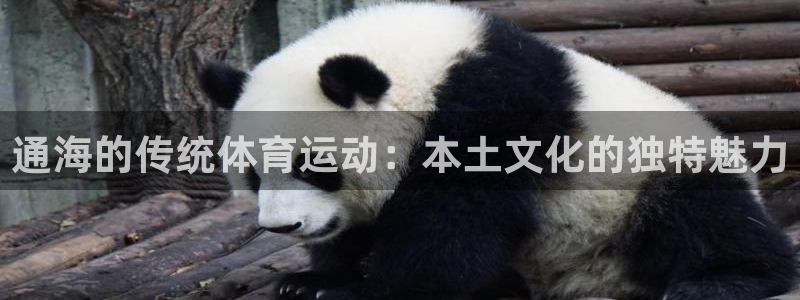 oety欧亿：通海的传统体育运动：本土文化的独特魅力