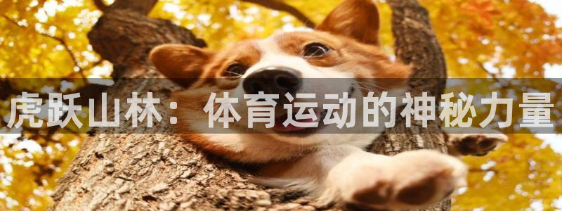 oety欧亿：虎跃山林：体育运动的神秘力量