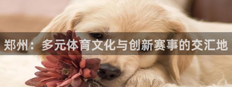 oety欧亿：郑州：多元体育文化与创新赛事的交汇地