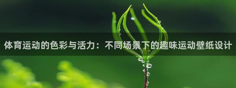 oety欧亿：体育运动的色彩与活力：不同场景下的趣味运动壁纸设计