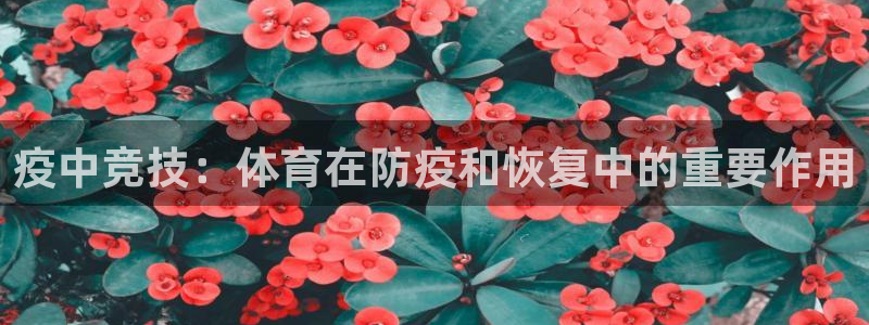oety欧亿：疫中竞技：体育在防疫和恢复中的重要作用