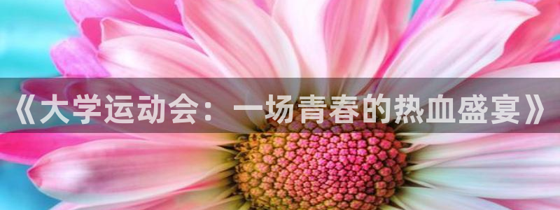 oety欧亿：《大学运动会：一场青春的热血盛宴》