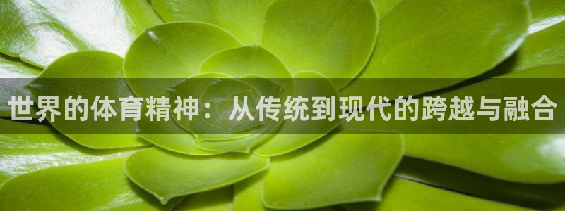 oety欧亿：世界的体育精神：从传统到现代的跨越与融合